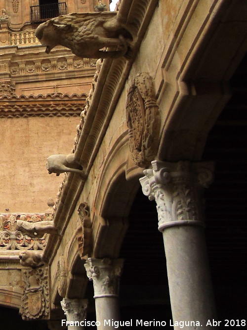 Casa de las Conchas - Casa de las Conchas. Grgolas