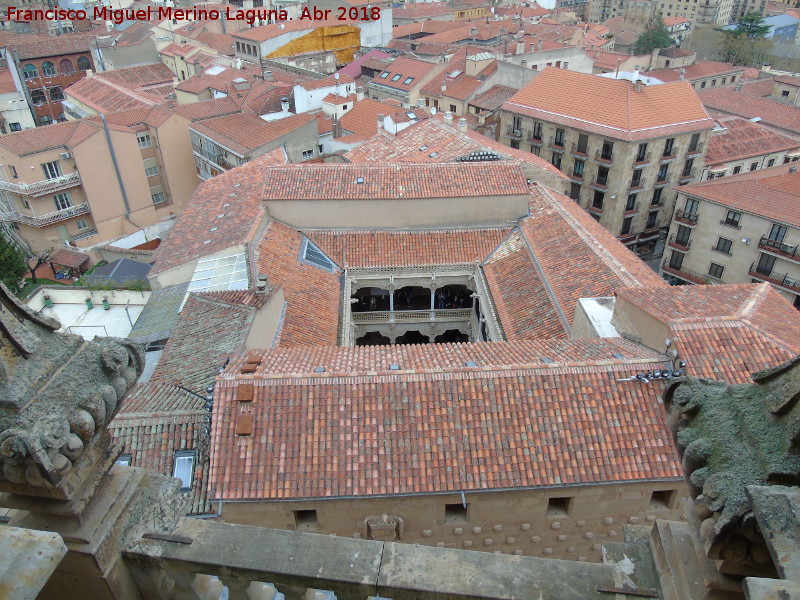 Casa de las Conchas - Casa de las Conchas. Desde la Clereca