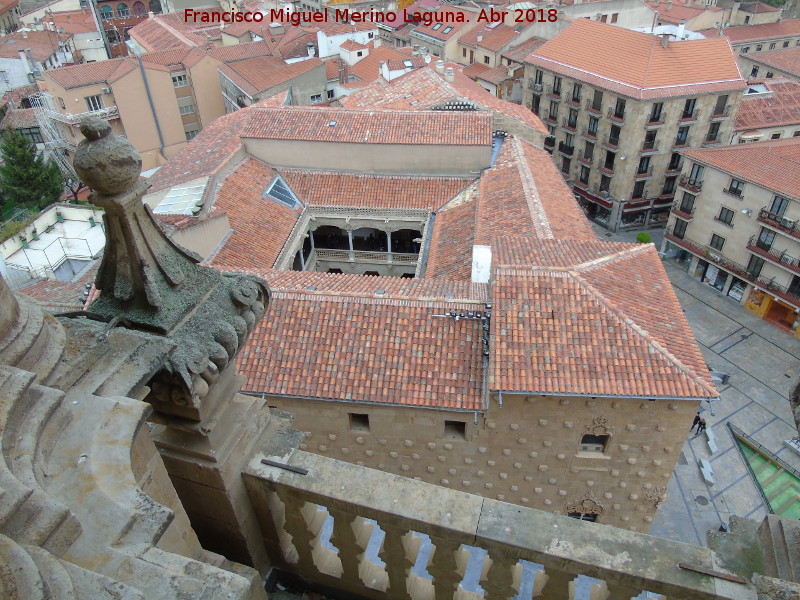 Casa de las Conchas - Casa de las Conchas. Desde la Clereca