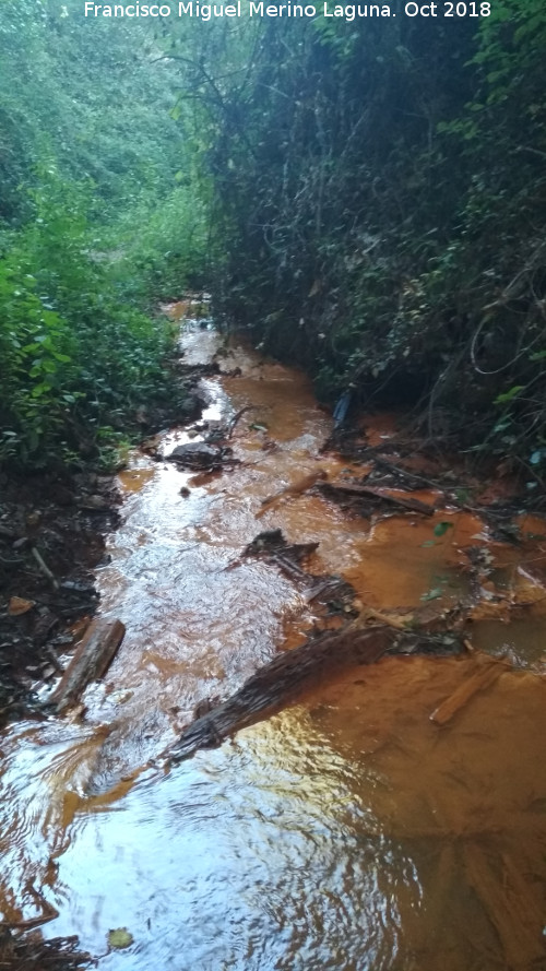 Chorrern de Prtugos - Chorrern de Prtugos. Aguas ferruginosas