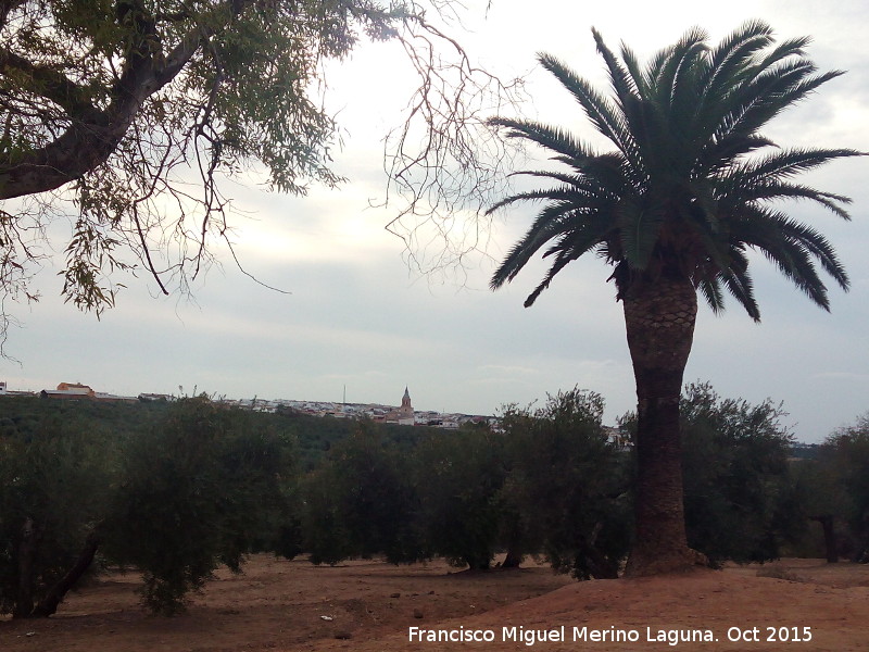 Arjonilla - Arjonilla. Desde Via Garabata