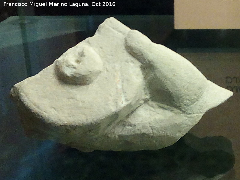 Ptera - Ptera. Ptera ibera del Santurario de las Atalayuelas - Fuerte del Rey