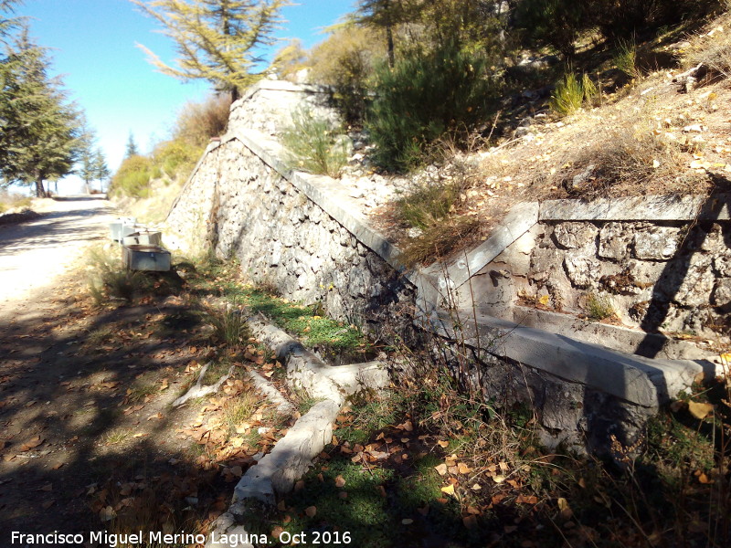 Fuente de El Pinar - Fuente de El Pinar. 