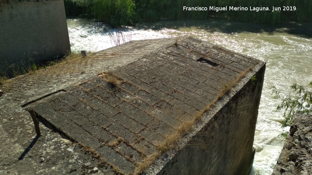 Molinos de Casas Nuevas - Molinos de Casas Nuevas. Cubierta del molino sur