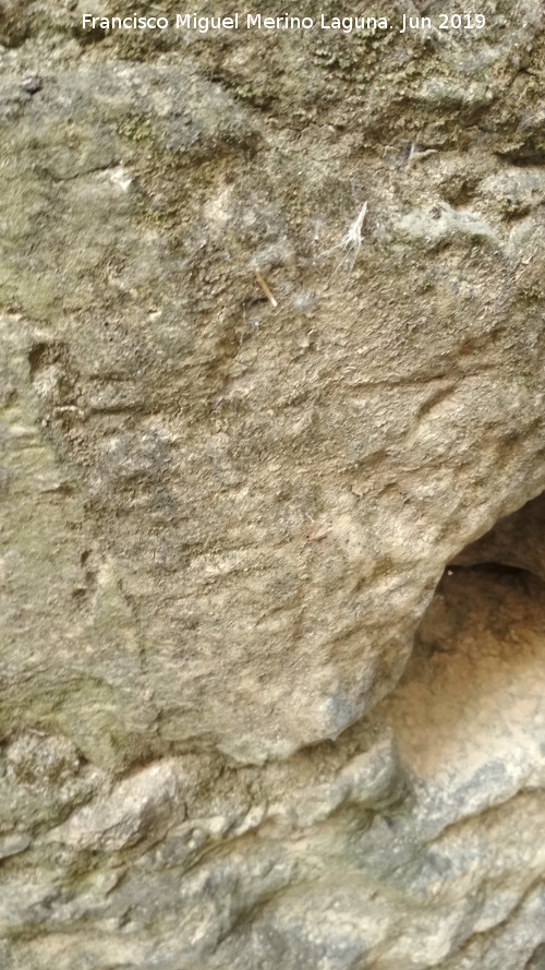 Molinos de Casas Nuevas - Molinos de Casas Nuevas. Posible grabado del Molino Sur