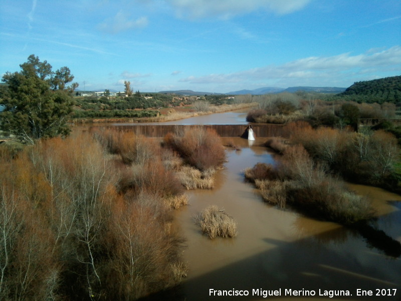 Ro Guadalimar - Ro Guadalimar. Presa de la Central de Arquillos (Linares)