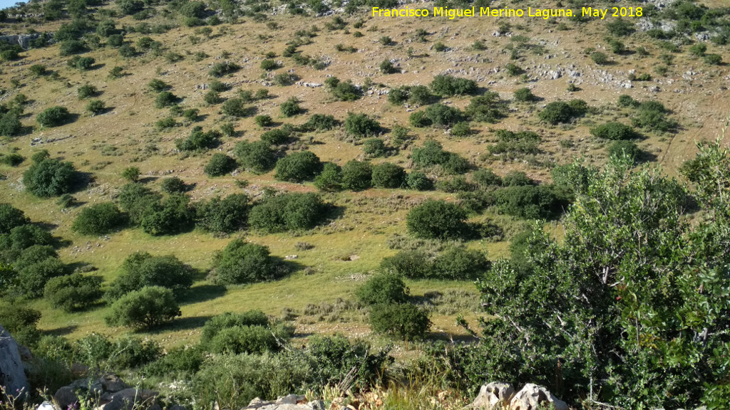 Collado de los Bastianes - Collado de los Bastianes. Desde el Cerro Veleta con vistas hacia el dolmen