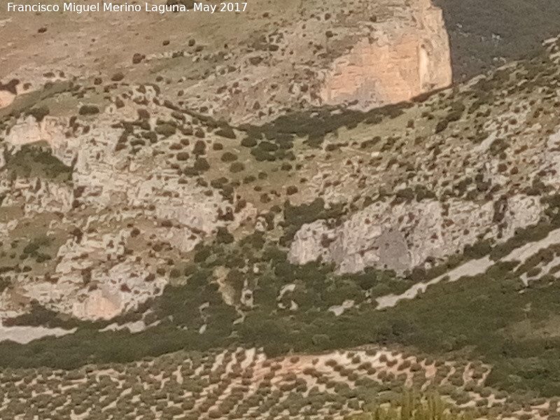 Collado de los Bastianes - Collado de los Bastianes. 