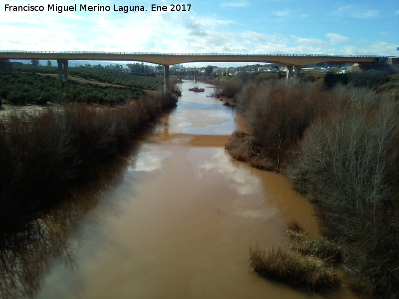 Puente Nuevo de la Estacin Linares Baeza - Puente Nuevo de la Estacin Linares Baeza. 