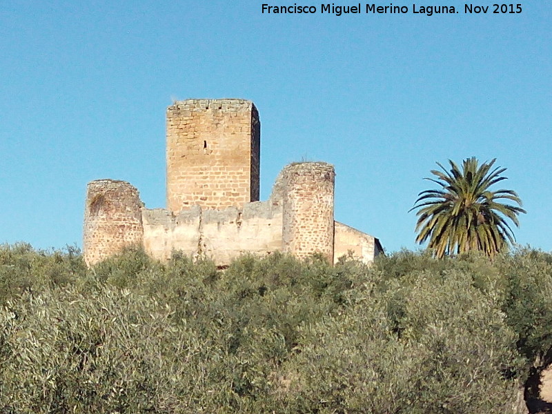 Castillo de la Aragonesa - Castillo de la Aragonesa. 