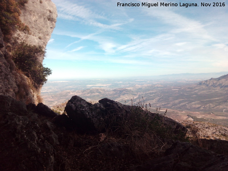 Cuevas del Curro - Cuevas del Curro. Vistas