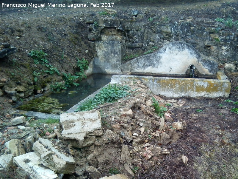 Fuente de los Petrolos Altos - Fuente de los Petrolos Altos. 