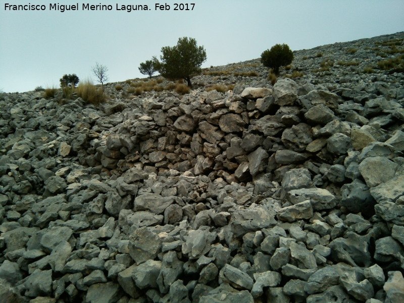 Poblado amurallado del Cerrillo Tesoro - Poblado amurallado del Cerrillo Tesoro. Muralla