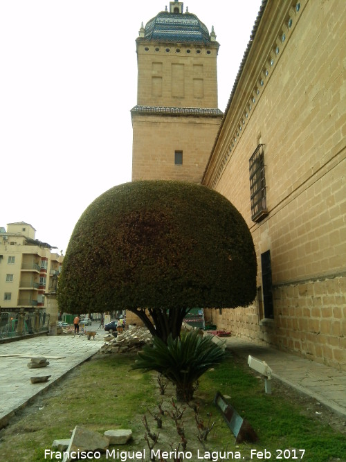 Hospital de Santiago. Laurel - Hospital de Santiago. Laurel. 