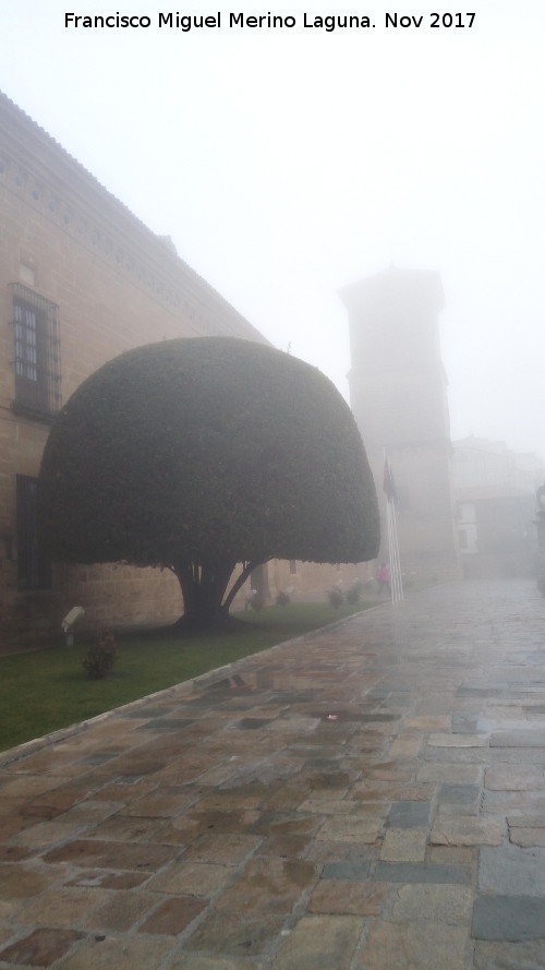 Hospital de Santiago. Laurel - Hospital de Santiago. Laurel. Con niebla