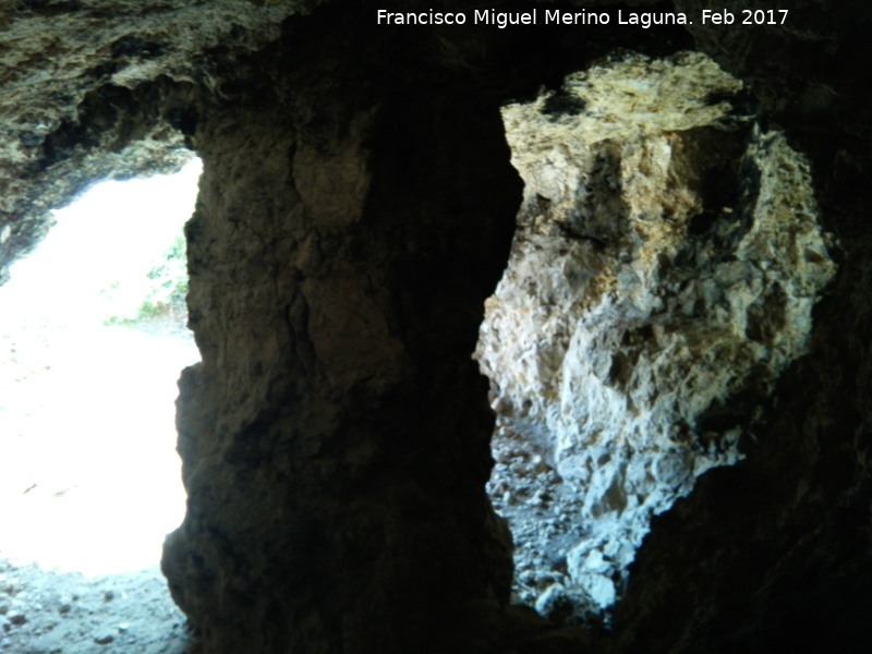 Cuevas de la Caavera - Cuevas de la Caavera. Columna