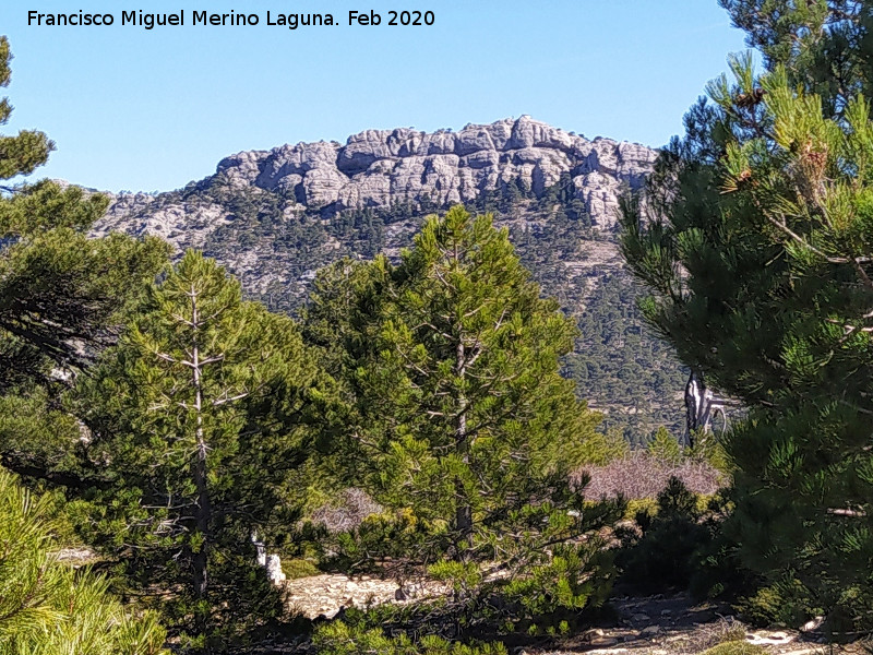 Pico Caba�as - Pico Caba�as. Desde la Loma de Cagasebo