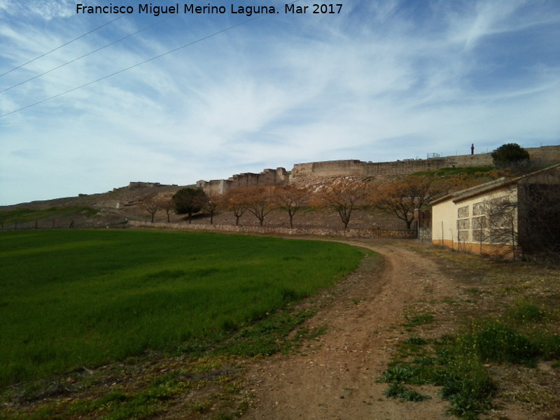 Ciudad Medieval de Alarcos - Ciudad Medieval de Alarcos. Murallas y el castillo al fondo