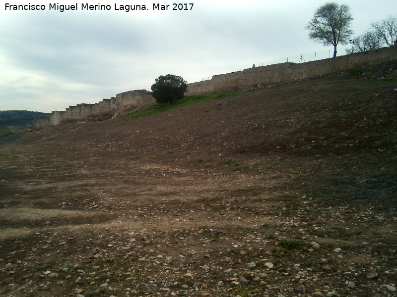 Ciudad Medieval de Alarcos - Ciudad Medieval de Alarcos. Murallas