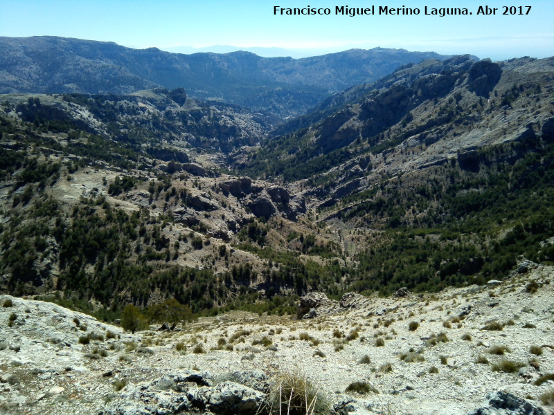 Barranco de Tnez - Barranco de Tnez. 