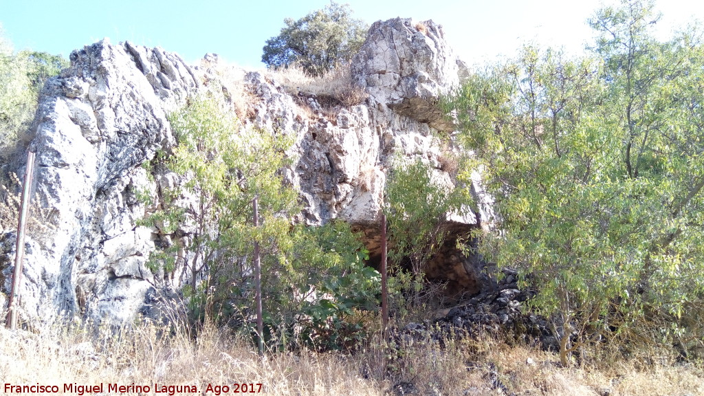 Pinturas rupestres de la Cueva de la Dehesa - Pinturas rupestres de la Cueva de la Dehesa. Cueva