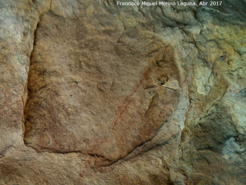 Pinturas rupestres del Abrigo de Aznaitn de Torres V - Pinturas rupestres del Abrigo de Aznaitn de Torres V. Lneas