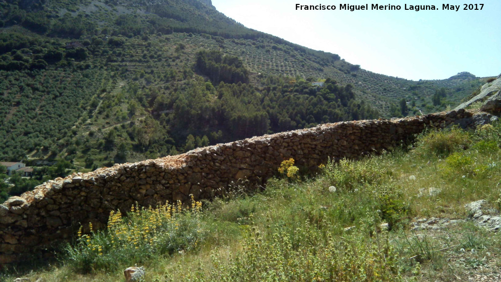 Aprisco de la Llana - Aprisco de la Llana. Muro de piedra seca