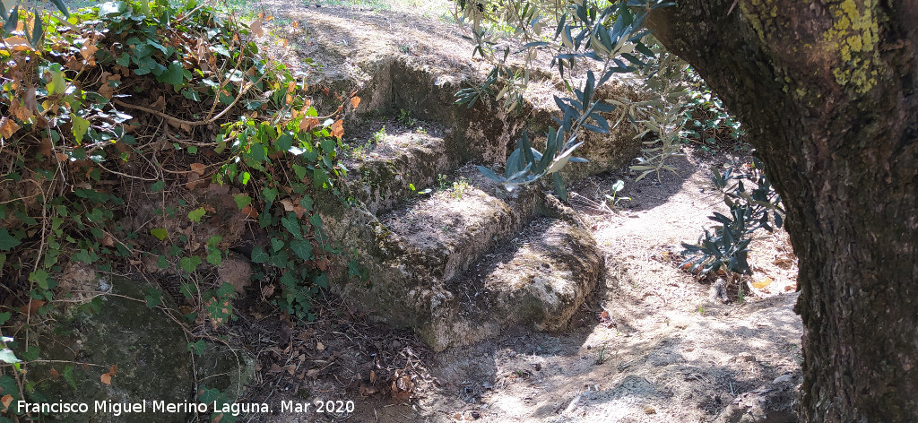 Cueva de la Zorra - Cueva de la Zorra. Escaleras talladas