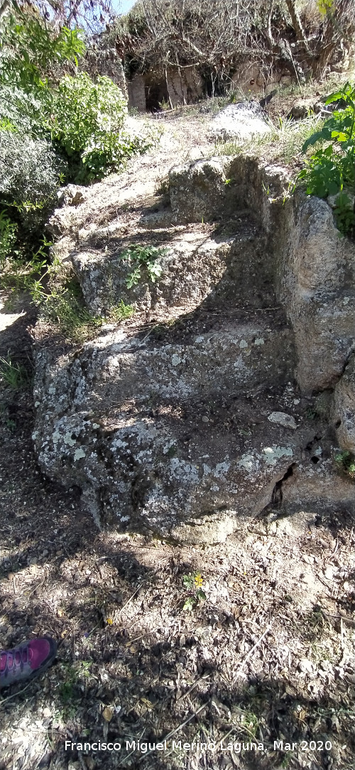 Cueva de la Zorra - Cueva de la Zorra. Escaleras talladas