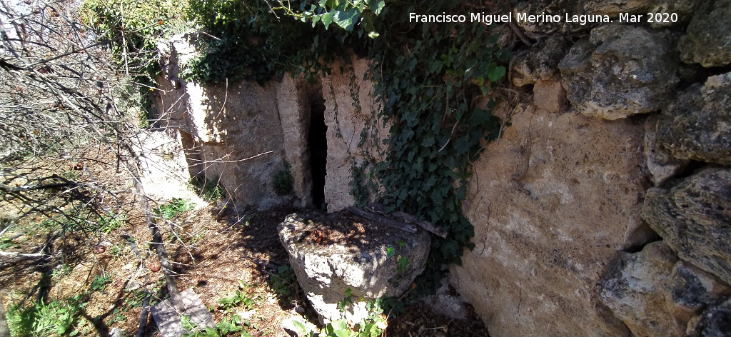 Cueva de la Zorra - Cueva de la Zorra. 