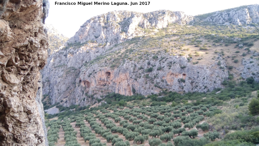 Cueva Alta del Frontn - Cueva Alta del Frontn. Vistas de las Salas de Gabildo