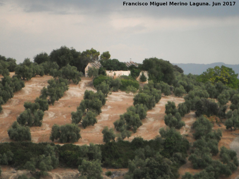 Cortijo de Buenavista - Cortijo de Buenavista. 