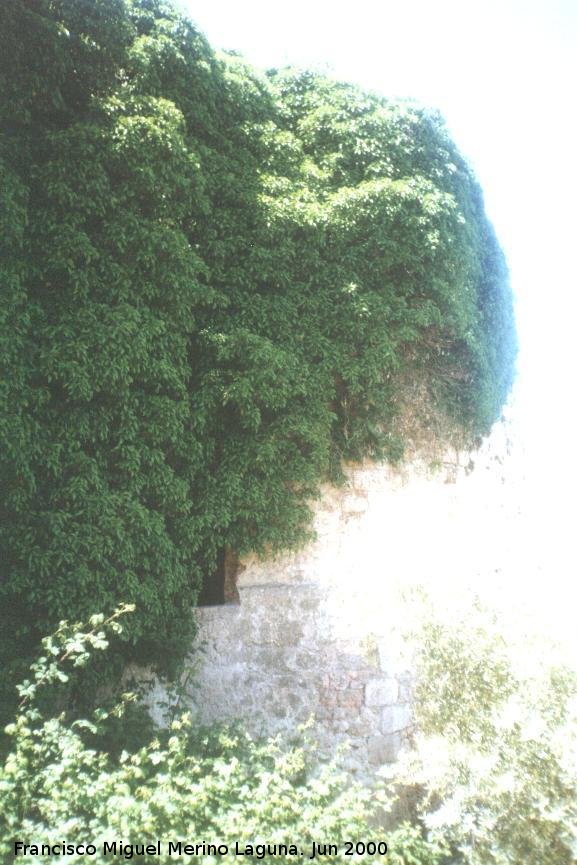 Molino Fortificado del Cubo - Molino Fortificado del Cubo. 