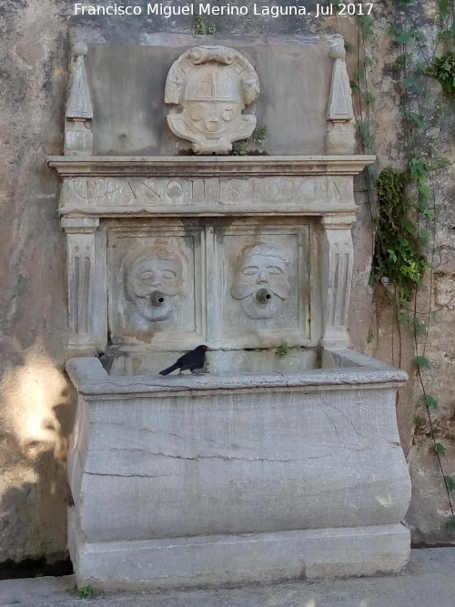 Generalife. Jardines Bajos - Generalife. Jardines Bajos. Fuente con escudo