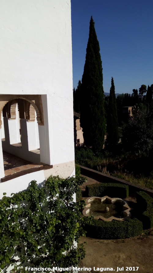 Generalife. Mirador del Patio de la Acequia - Generalife. Mirador del Patio de la Acequia. Lateral