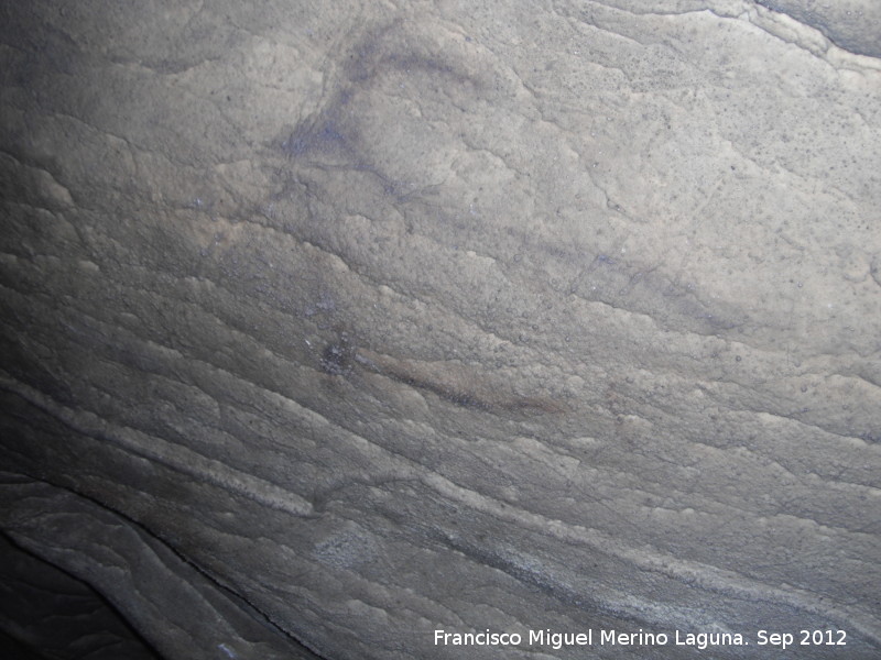 Pinturas rupestres de la Cueva del Morrn - Pinturas rupestres de la Cueva del Morrn. Cprido negro