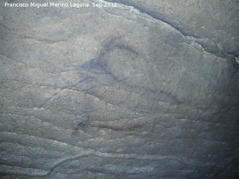 Pinturas rupestres de la Cueva del Morrn - Pinturas rupestres de la Cueva del Morrn. Cprido negro