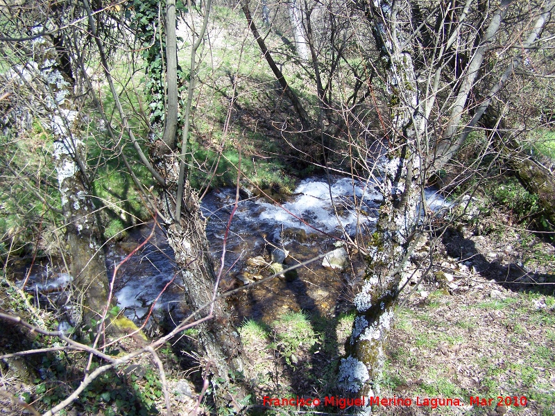 Fuenmayor - Fuenmayor. Arroyo de Fuenmayor