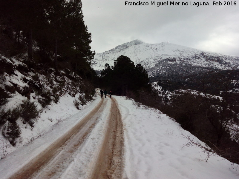 Sendero de Fuenmayor - Sendero de Fuenmayor. 