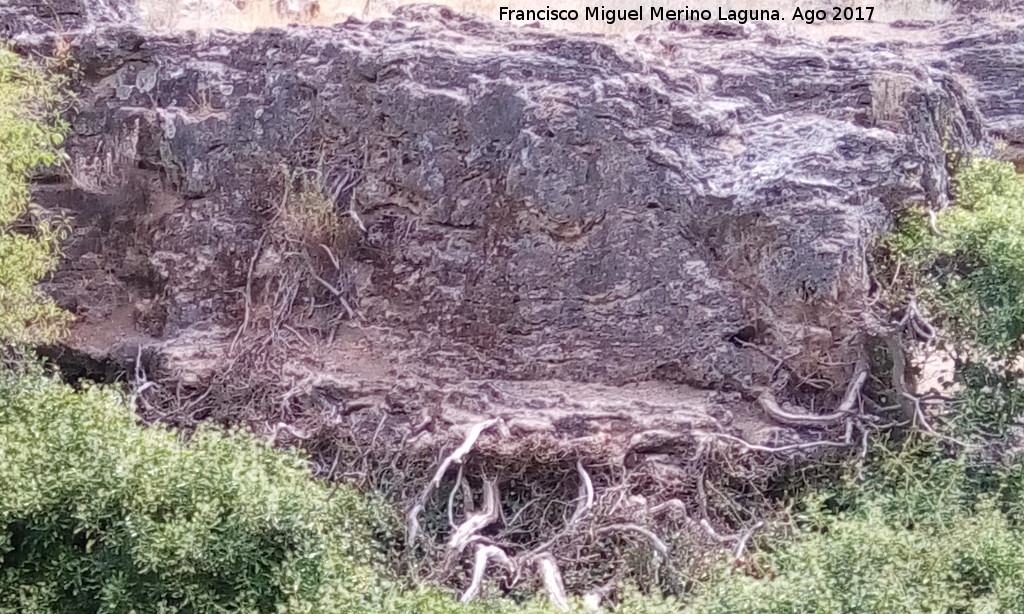 Yacimiento de Troncos fsiles del Tercero - Yacimiento de Troncos fsiles del Tercero. Parte del estrato rocoso del yacimiento