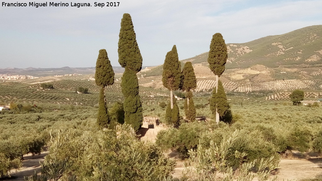 Casera de Segovia - Casera de Segovia. Cipreses