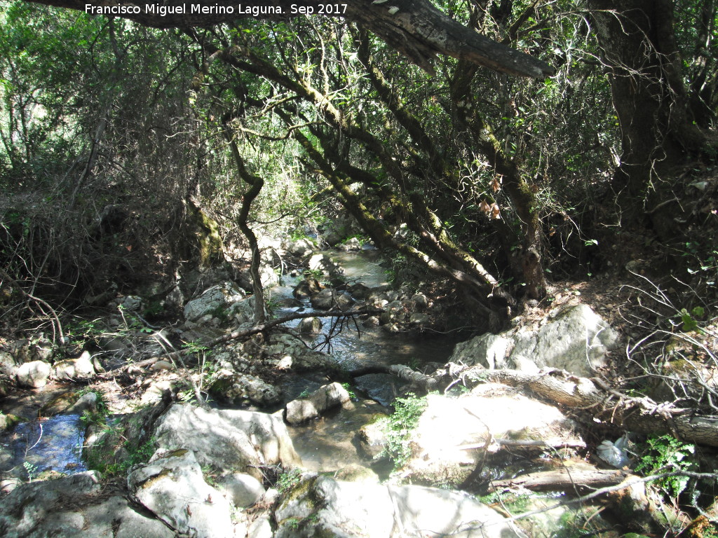 Arroyo Retozadero - Arroyo Retozadero. 