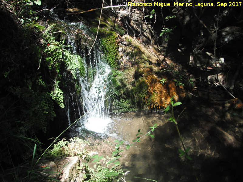 Arroyo Retozadero - Arroyo Retozadero. 