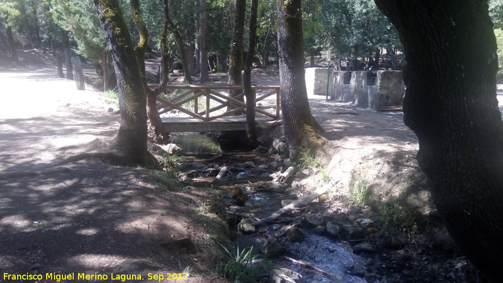 Arroyo Retozadero - Arroyo Retozadero. A su paso por Huerta Vieja