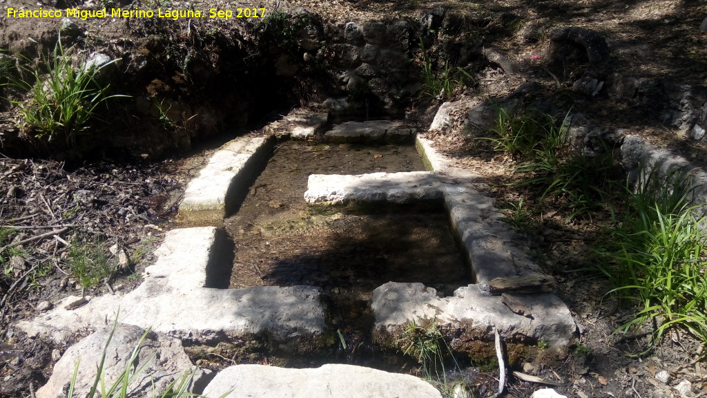 Fuente del Cerezuelo - Fuente del Cerezuelo. 