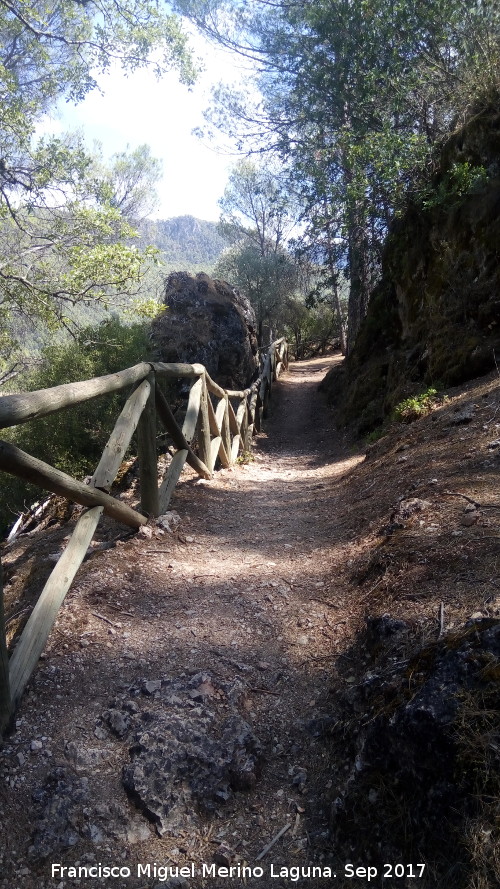 Mirador Solana de Padilla - Mirador Solana de Padilla. Sendero