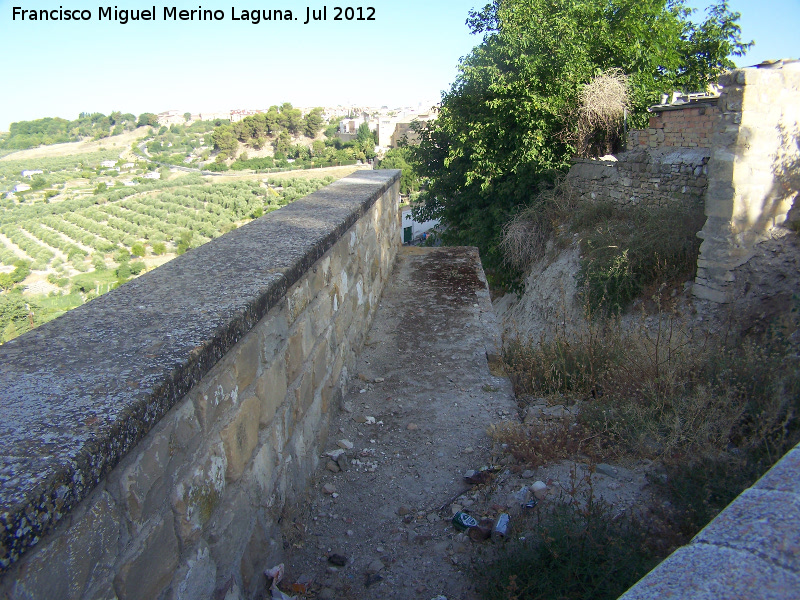 Muralla de Saludeja - Muralla de Saludeja. Adarve