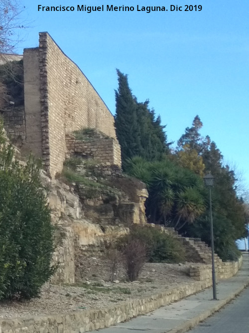 Torren de Saludeja V - Torren de Saludeja V. 