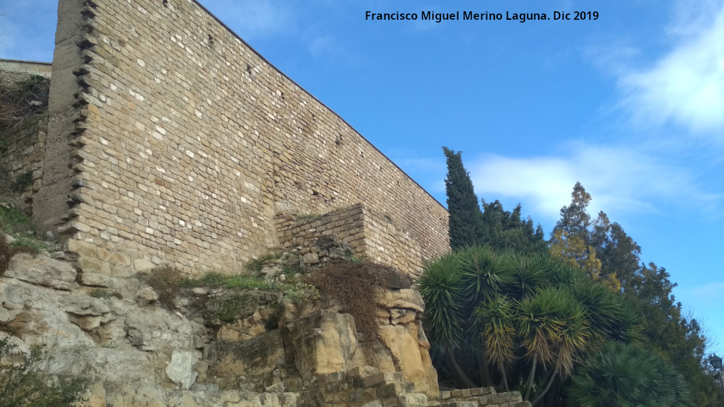 Torren de Saludeja V - Torren de Saludeja V. 