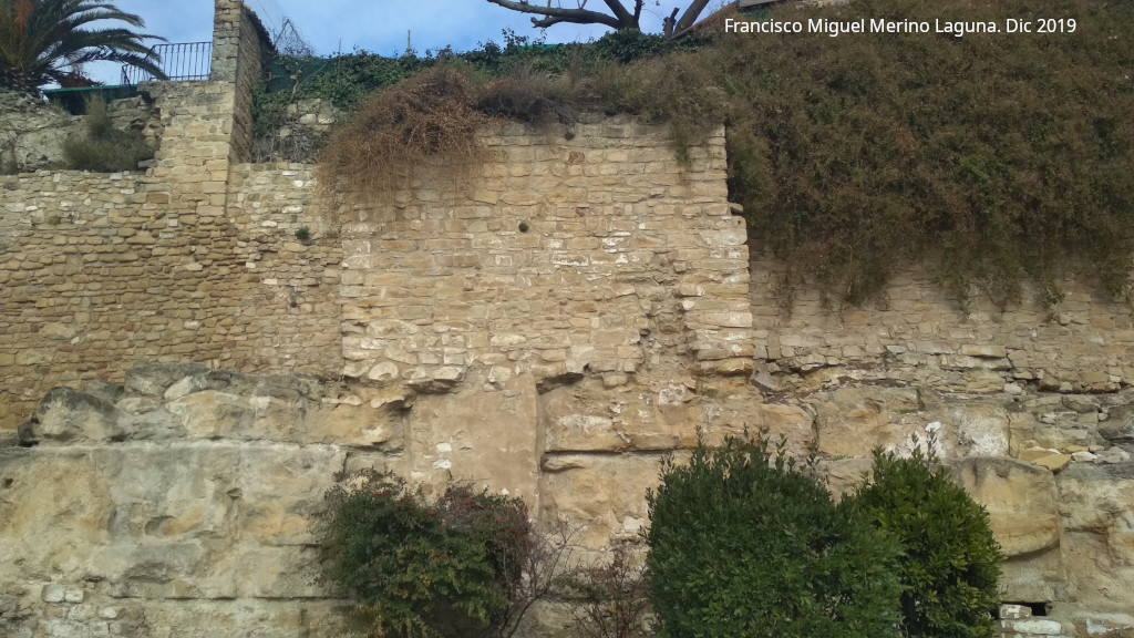 Torren de Saludeja III - Torren de Saludeja III. 